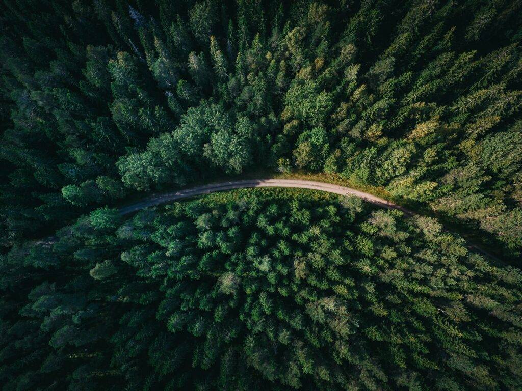 OpenSistemas - Consultora IT 158 geranimo qzgN45hseN0 unsplash