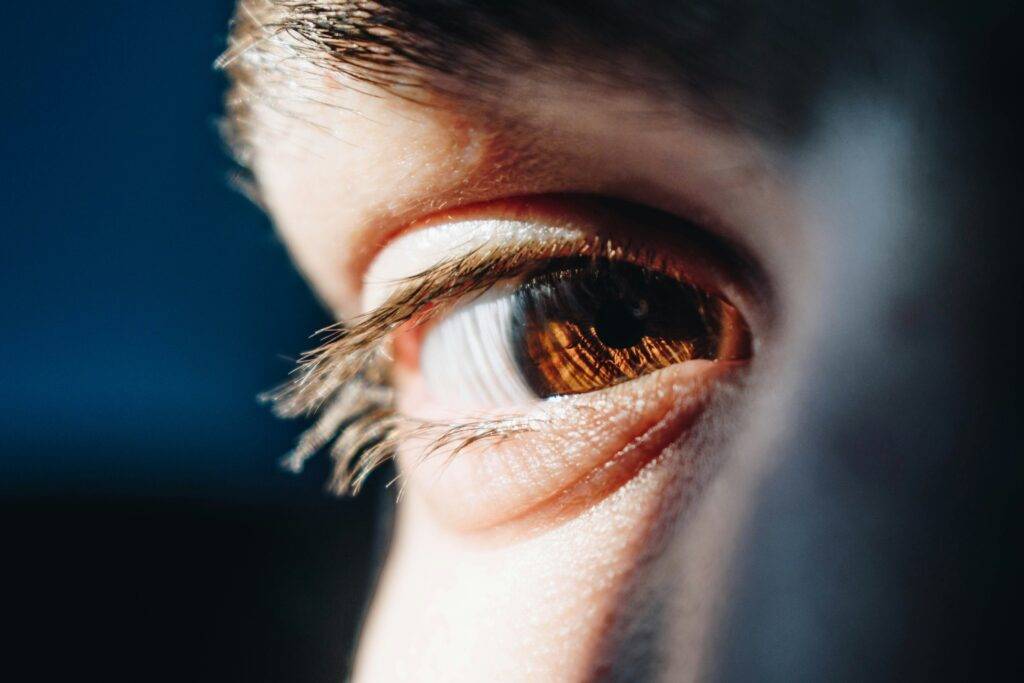 OpenSistemas - Consultora IT 166 bacila vlad WTThc6UmwEI unsplash