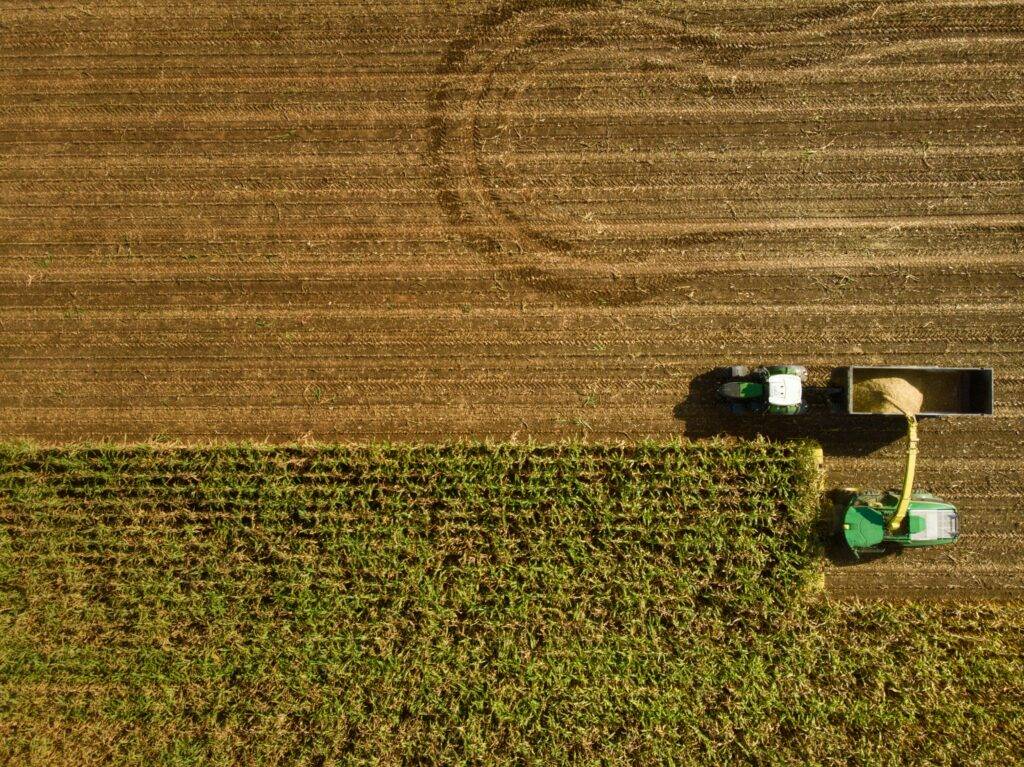 OpenSistemas - Consultora IT 81 Agritech e IA: visión artificial y middleware SofIA como núcleo de la innovación agrícola
